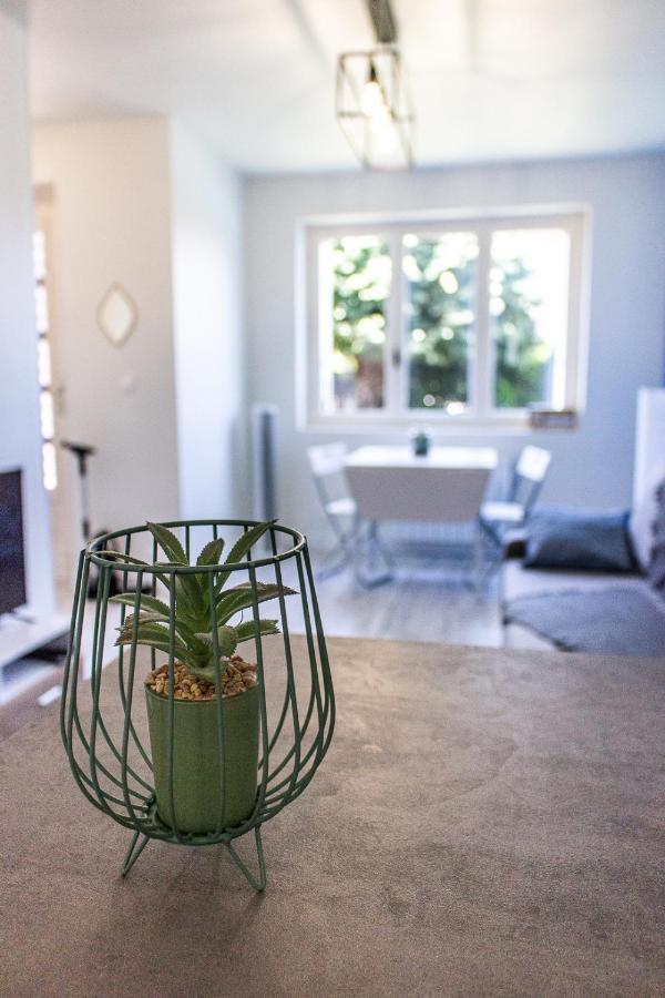Maisonnette Avec Jardin, Parc Du Chene Apartment Bron Ngoại thất bức ảnh